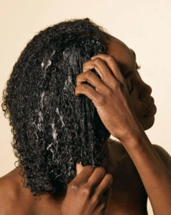 Après-Shampoing Acondicionador De Cupuaçu & Castor 9 Après-Shampoing Acondicionador De Cupuaçu & Castor -Meilleur Cosmétiques Magasin 0332 Ceremonia KATY SH 13 CONDITIONER APPLICATION 063 d616e63e 0456 4ad1 85d4 51dbfe632135