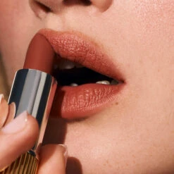 Baume à Lèvres Teinté Hydratant -Meilleur Cosmétiques Magasin BB formatcarre 2