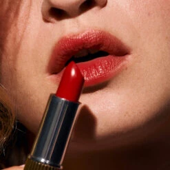 Baume à Lèvres Teinté Hydratant -Meilleur Cosmétiques Magasin Chouchou Formatcarre 1