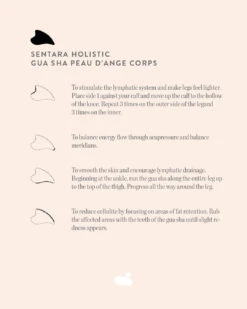 Gua Sha Peau D'Ange Corps -Meilleur Cosmétiques Magasin Gua sha peau d ange corps EN