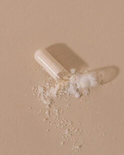 Microbiote & Nombril Compléments Digestion -Meilleur Cosmétiques Magasin Microbiote et Nombril 3